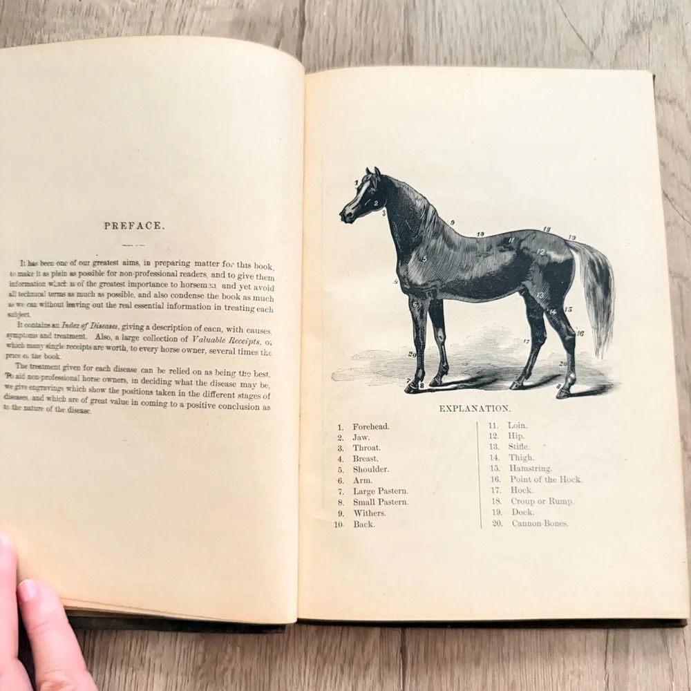 Antique 1886 Book, The Horse and His Diseases, Illustrated By‎ Dr. B. J. Kendall